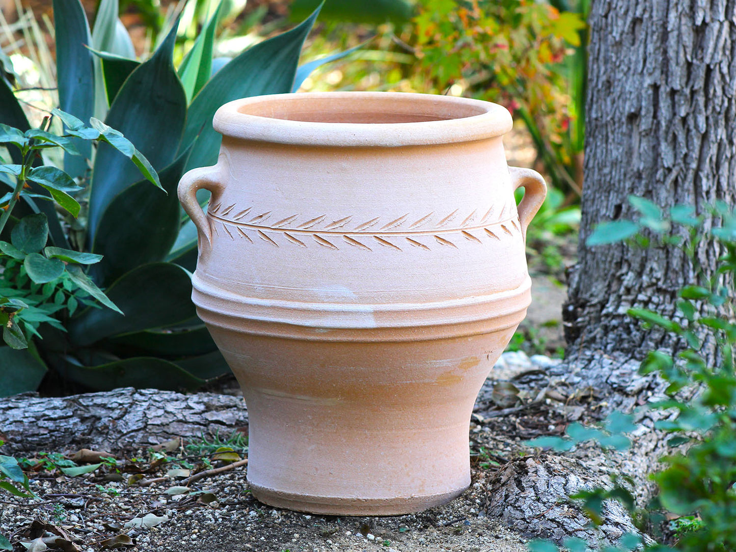 Pithari Planter By Plantatorem