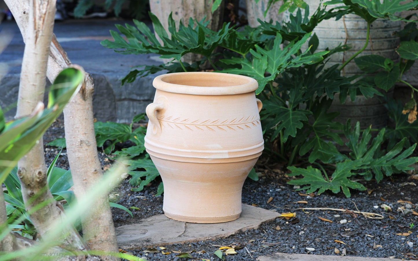 Pithari Planter By Plantatorem