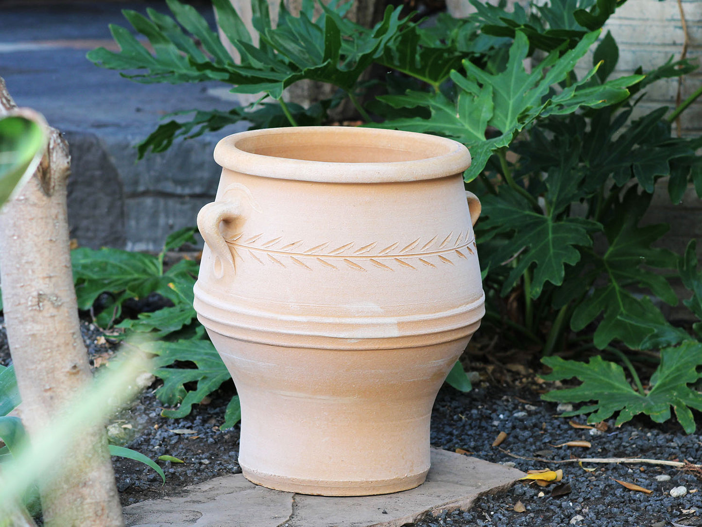 Pithari Planter By Plantatorem