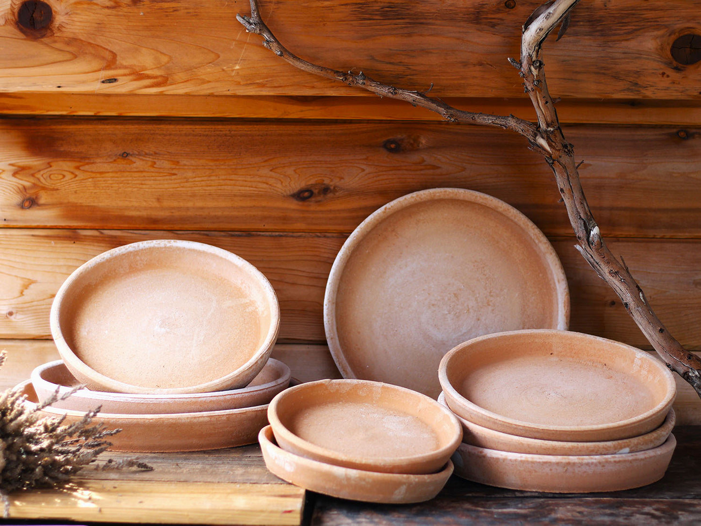 Piato (Saucer) By Plantatorem
