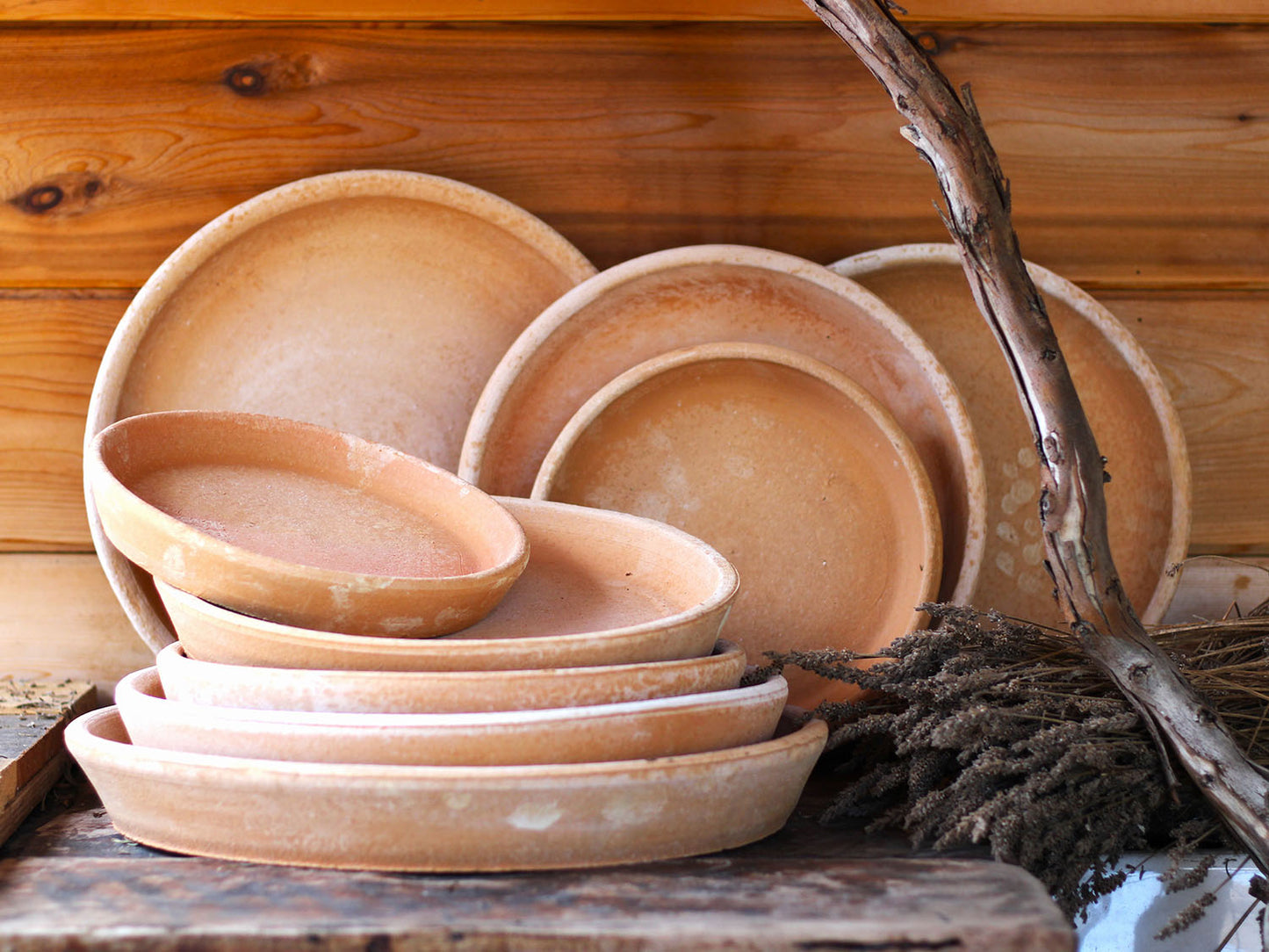 Piato (Saucer) By Plantatorem