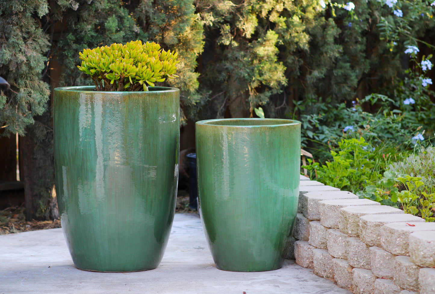 Tall Barrel Planters - Set of 2 By Plantatorem