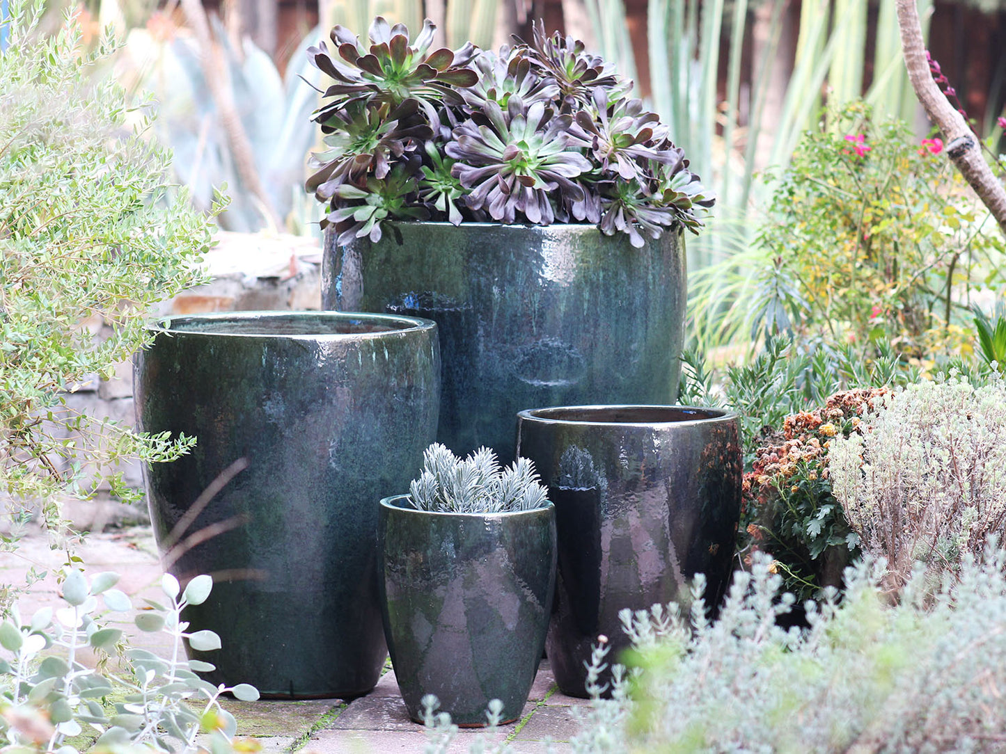 Catalina Pots - Set of 4 By Plantatorem