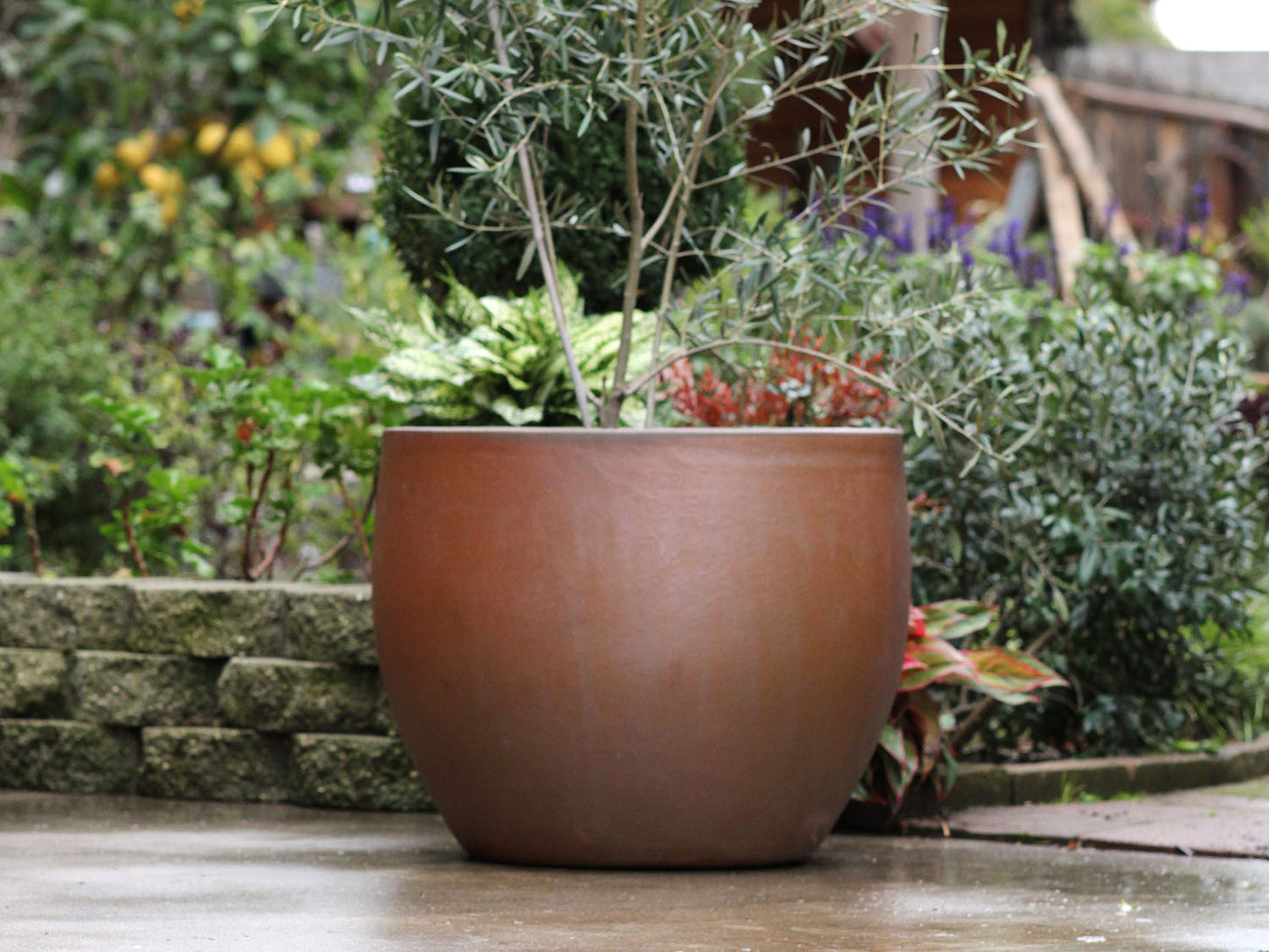 Big Sonoma Planter - Set of 4 (Clay) By Plantatorem