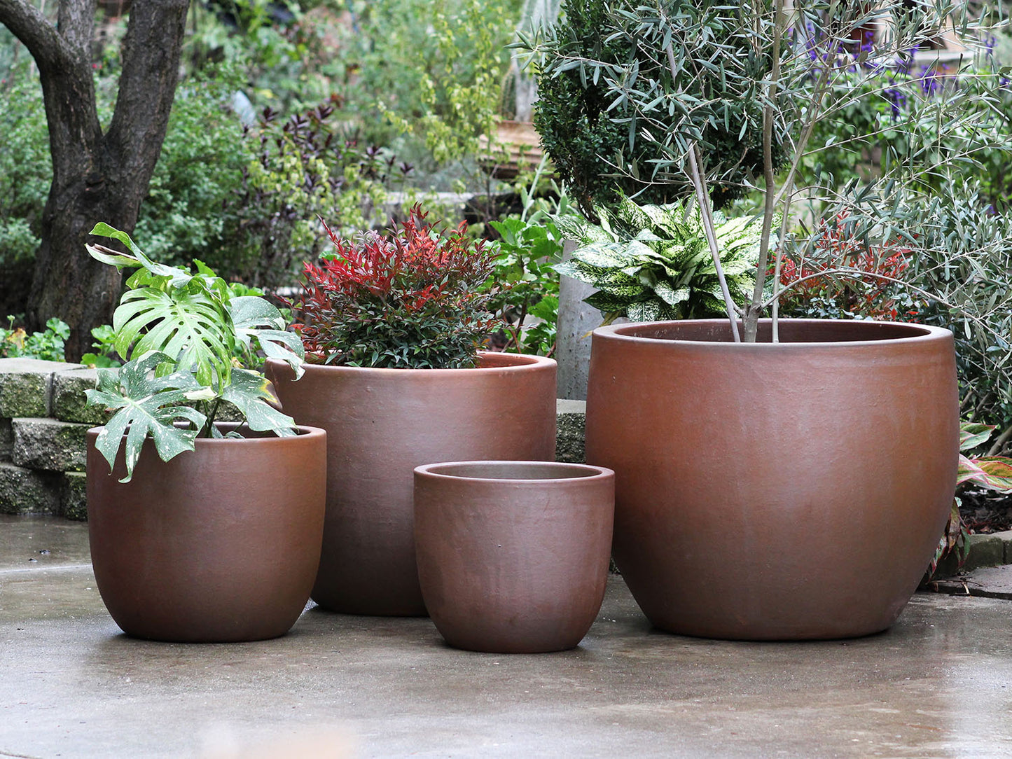 Big Sonoma Planter - Set of 4 (Clay) By Plantatorem