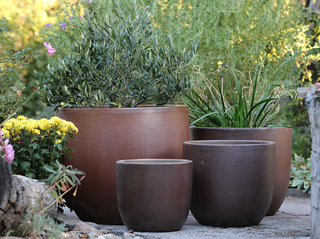 Egg Shell Pots - Set of 4 (Clay) By Plantatorem