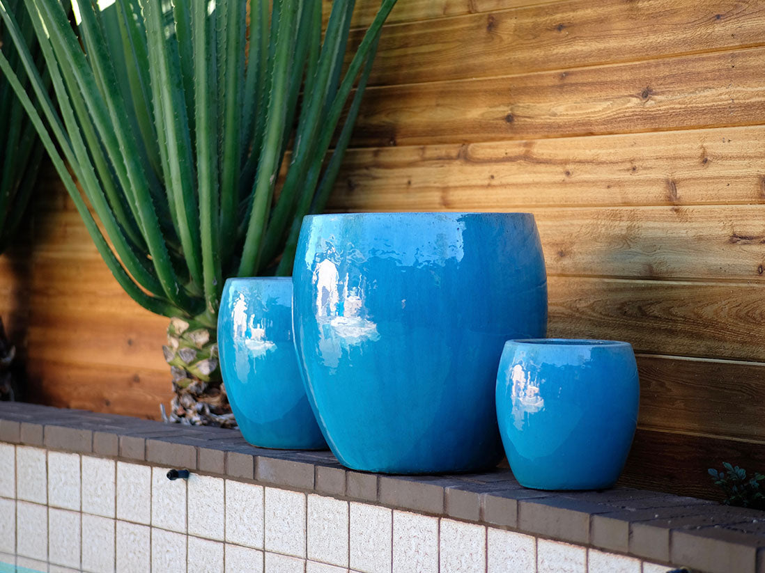 Jams Planter - Set of 3 By Plantatorem