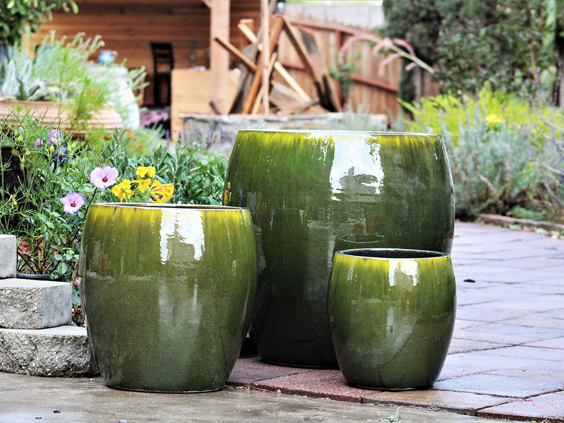 Jams Planter - Set of 3 By Plantatorem
