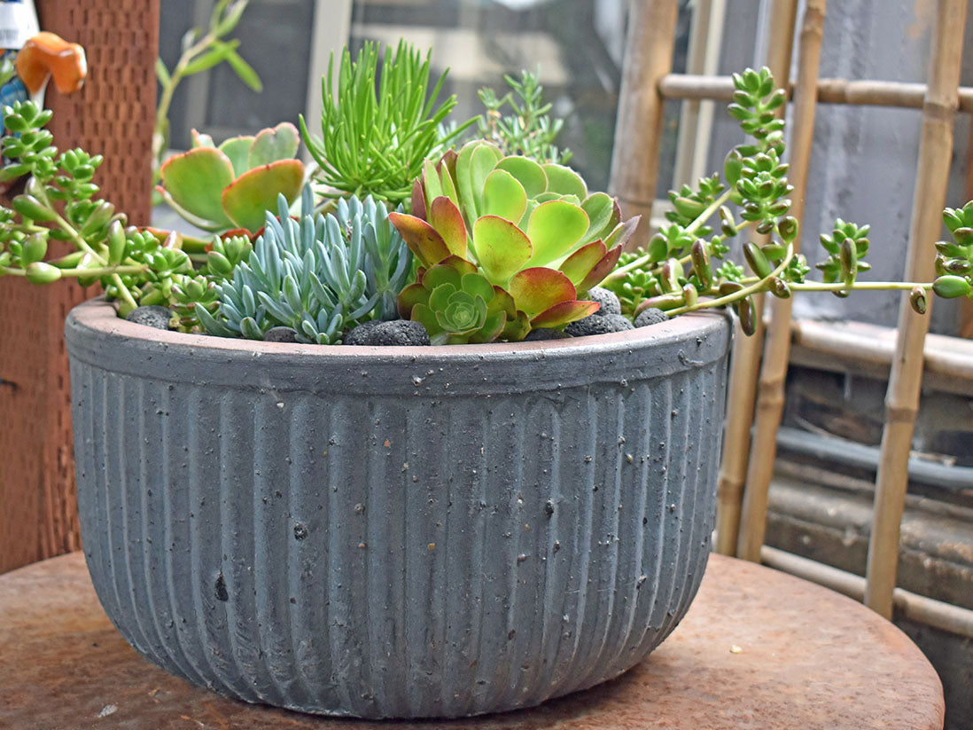 Faux Zin Can Low Planter - Set of 3 By Plantatorem
