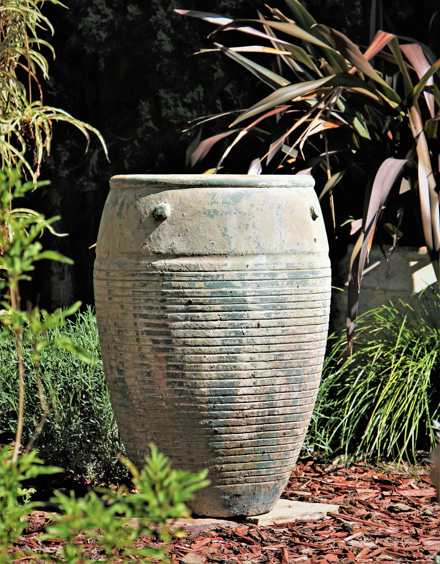 Jar De Santorini By Plantatorem