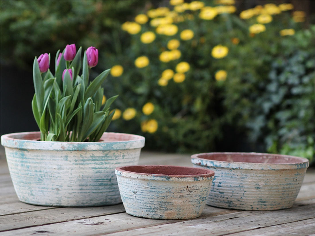 English Tumbled Pots Low- Set of 3 By Plantatorem