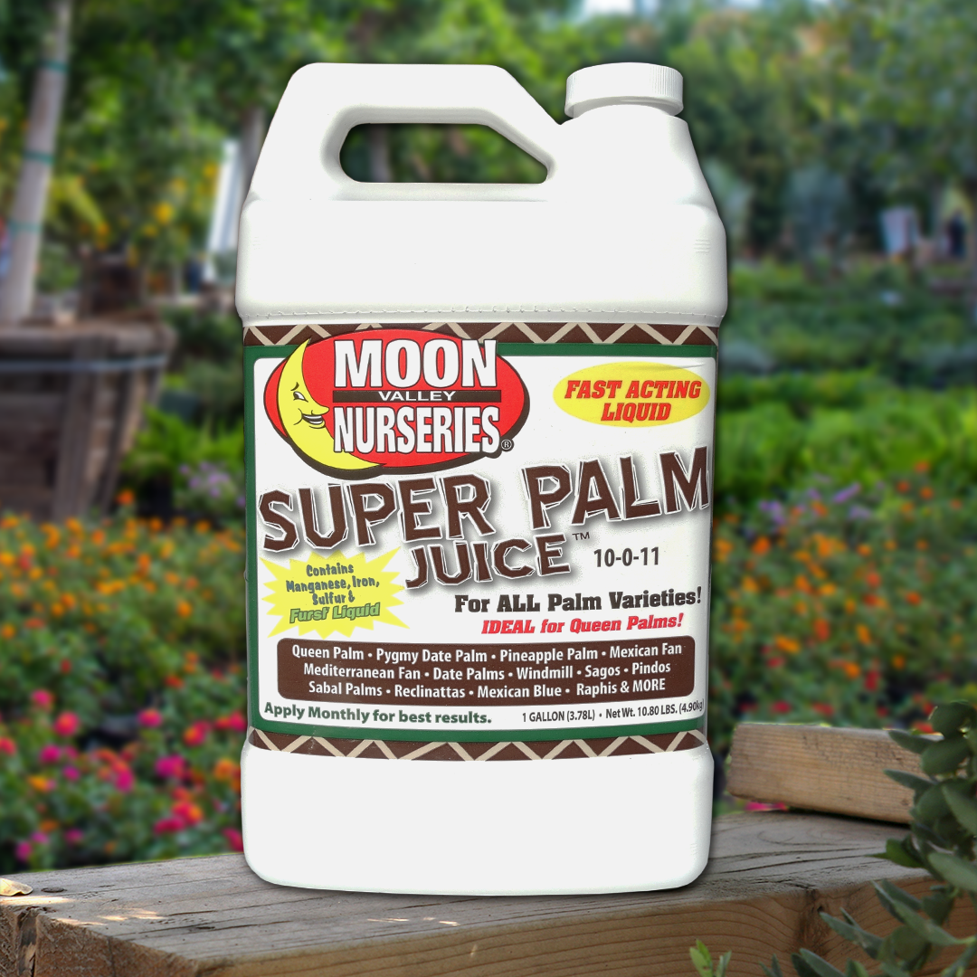 SUPER PALM JUICE®