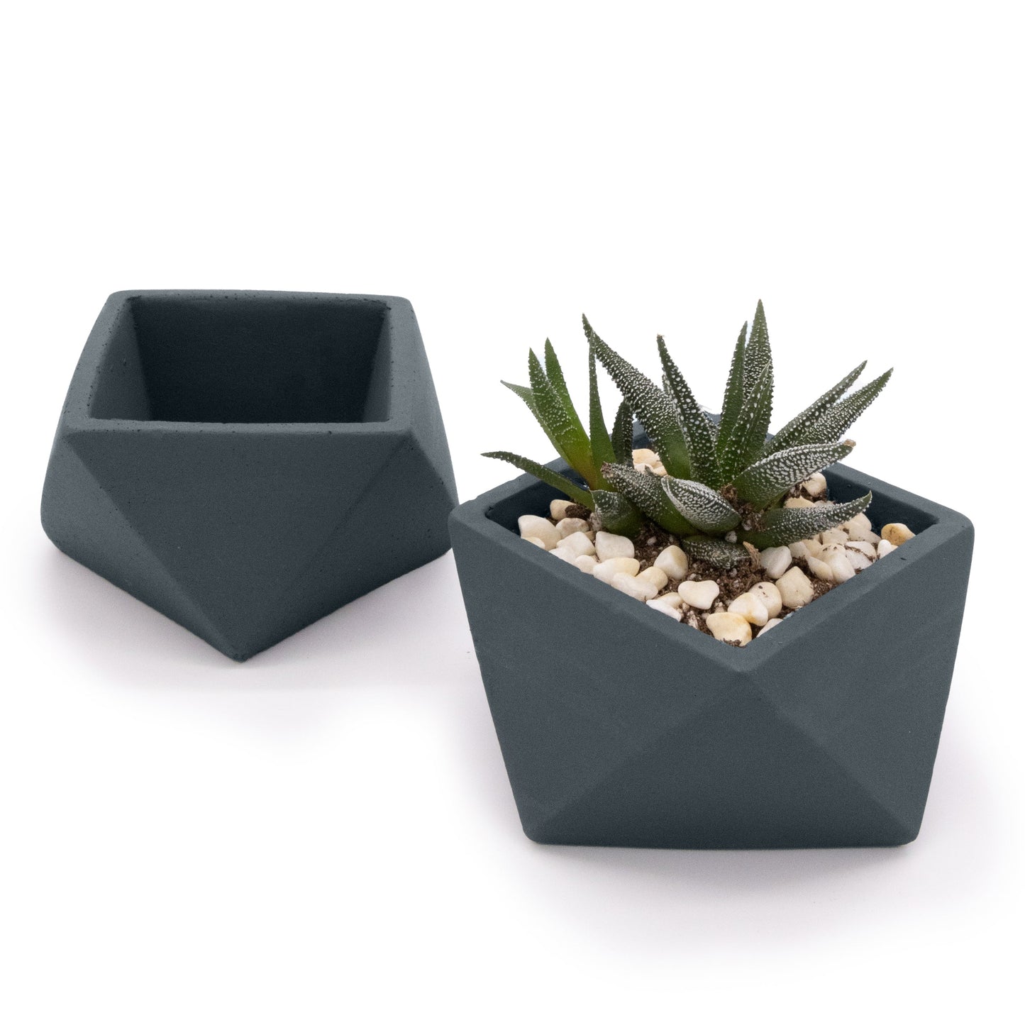 Concrete Mini Wedge Tabletop Planters (Set of 2)