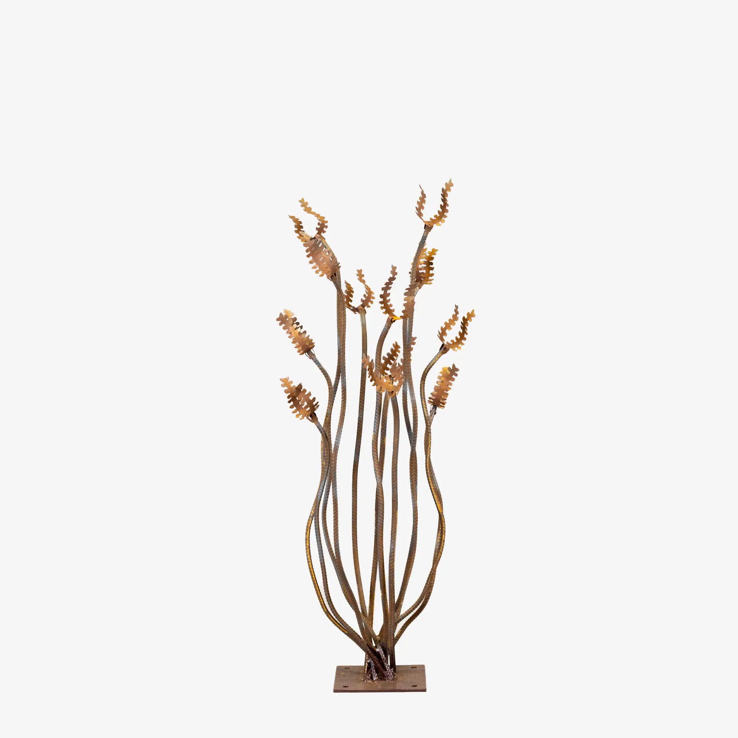 Ocotillo