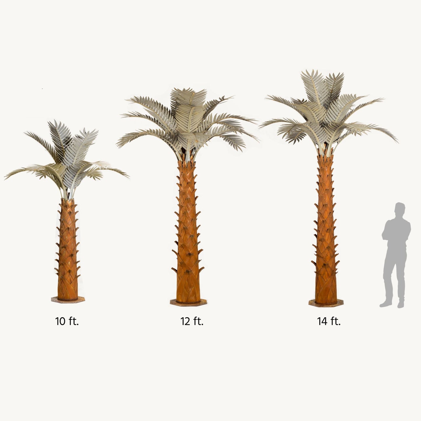 Paradise Palm